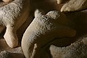 IMG_4063